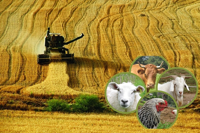 Aydın Tarım,Gıda ve Hayvancılık Fuarı'nın Yeni Tarihi Belli Oldu