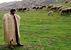 Türkiye'de İlk Kez Çoban Fuarı Düzenlenecek