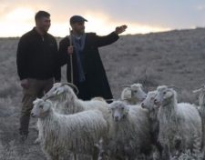 Türkiye'nin ilk çoban fuarı hazırlıkları devam ediyor