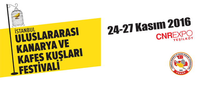 Kanaryalar İstanbul'da Yarıştı